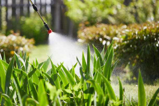 24/7 Emergency Mosquito Control experts in Clarkson, KY